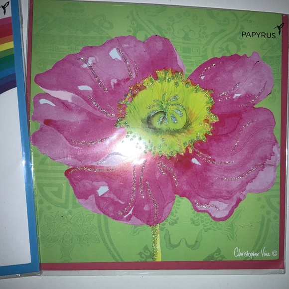 Papyrus set of 2 Blank Inside greeting cards New rainbow flower glitter - Picture 2 of 3